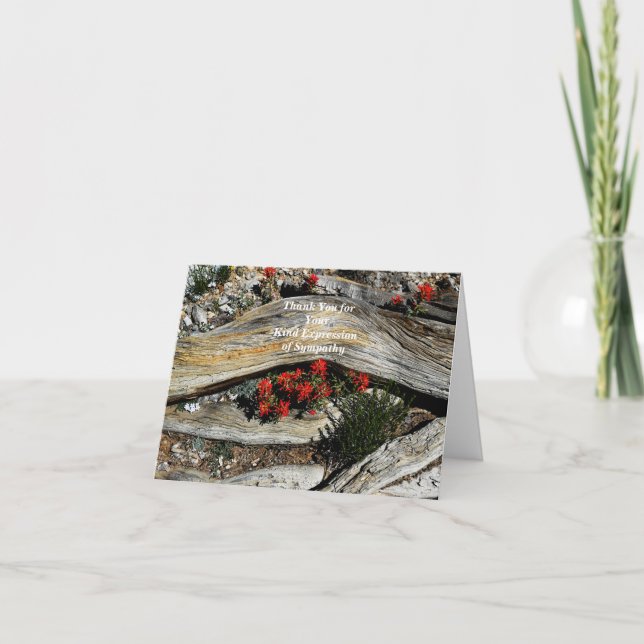Tack för Sympathy Red Flowers och Old Wood (Framsida)