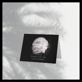 Tack för sympati, en Blek Rosa ros Kort