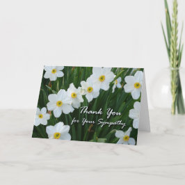 Tack för sympati, Narcissus Flowers