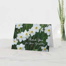 Tack för sympati, Narcissus Flowers Kort
