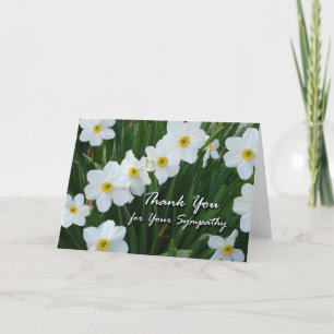 Tack för sympati, Narcissus Flowers Kort