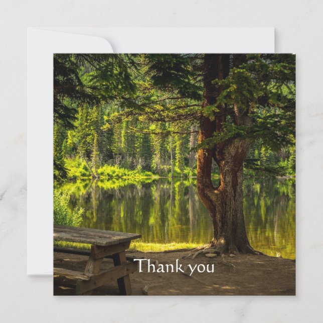 Tack för vackra morgonljusskript (Framsida)