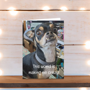 Tack för vänskap kort