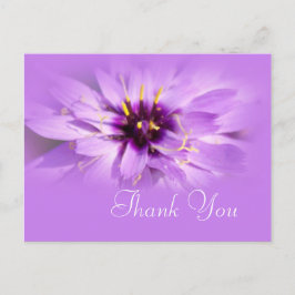 Tack för vykortet för elegant lila daisy . vykort