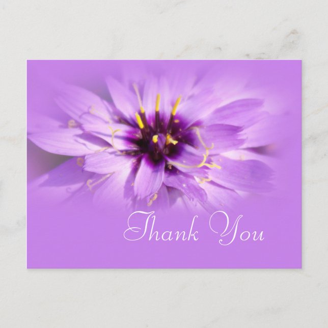 Tack för vykortet för elegant lila daisy . vykort (Framsida)