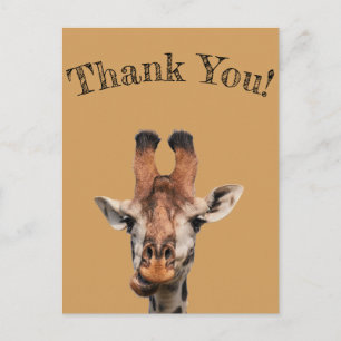 Tack,foto av rolig giraff,minimalistisk vykort