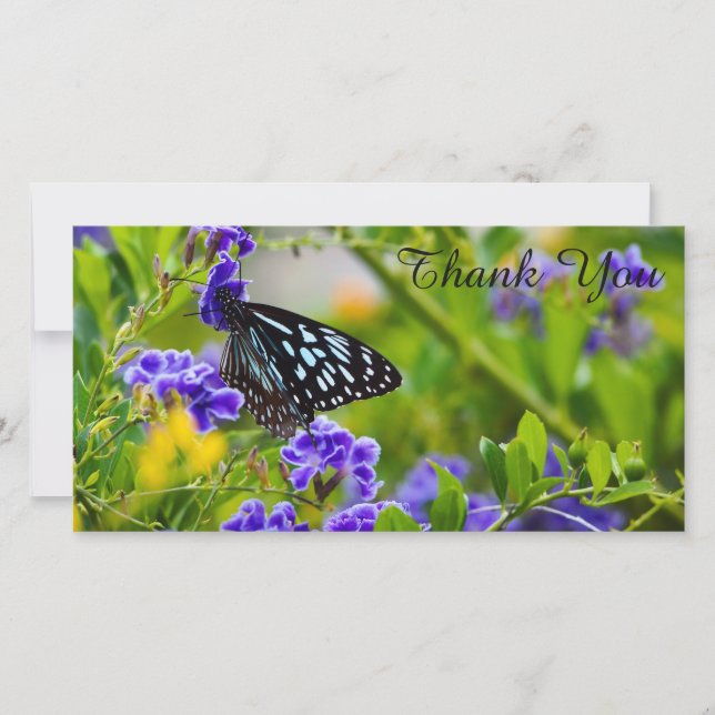 Tack-fotokort - Blue Tiger Butterfly Tack Kort (Framsida)