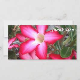 Tack-fotokort - Desert Ro Tack Kort