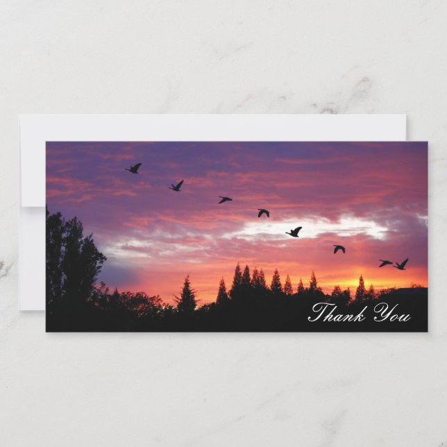 "Tack", fotokort Tack Kort (Framsida)