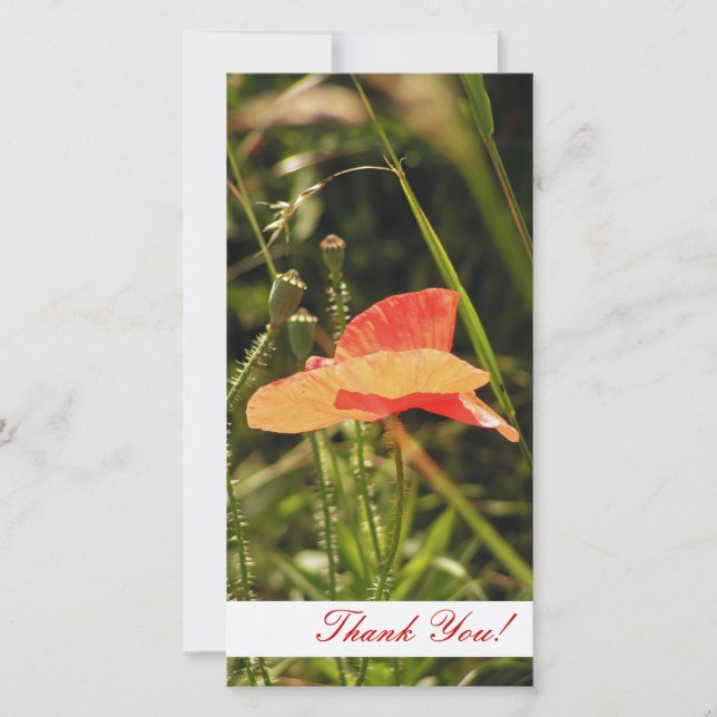 Tack-fotokort Tack Kort (Framsida)