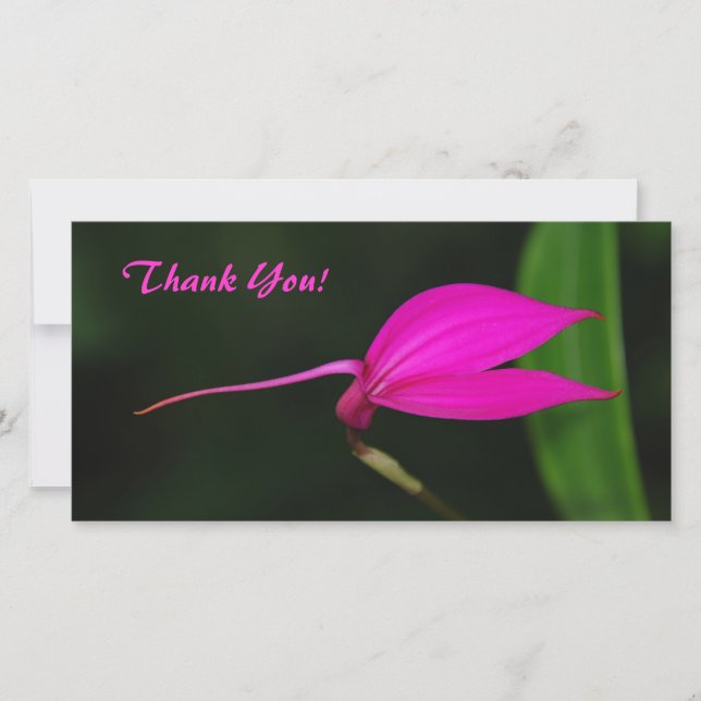 Tack-fotokort Tack Kort (Framsida)