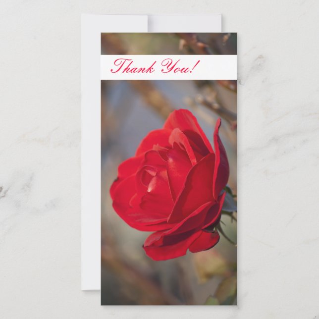 Tack-fotokort Tack Kort (Framsida)