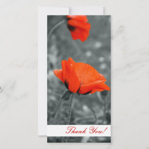 Tack-fotokort Tack Kort