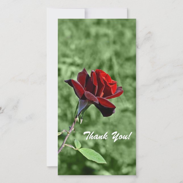 Tack-fotokort Tack Kort (Framsida)