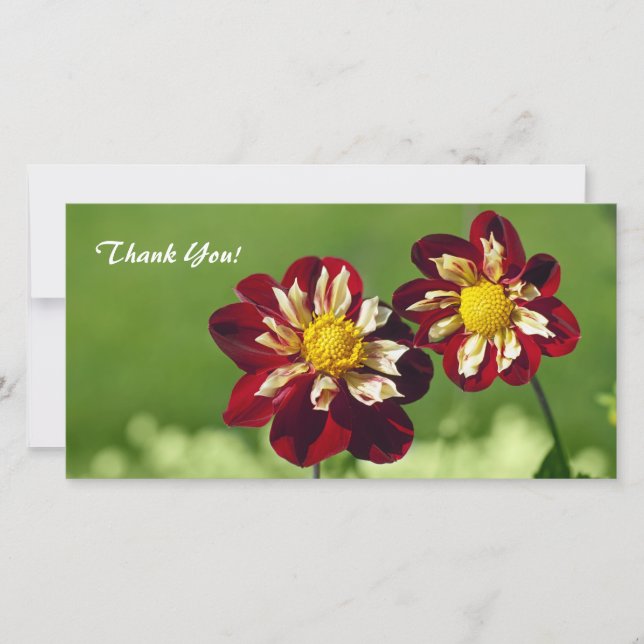 Tack-fotokort Tack Kort (Framsida)