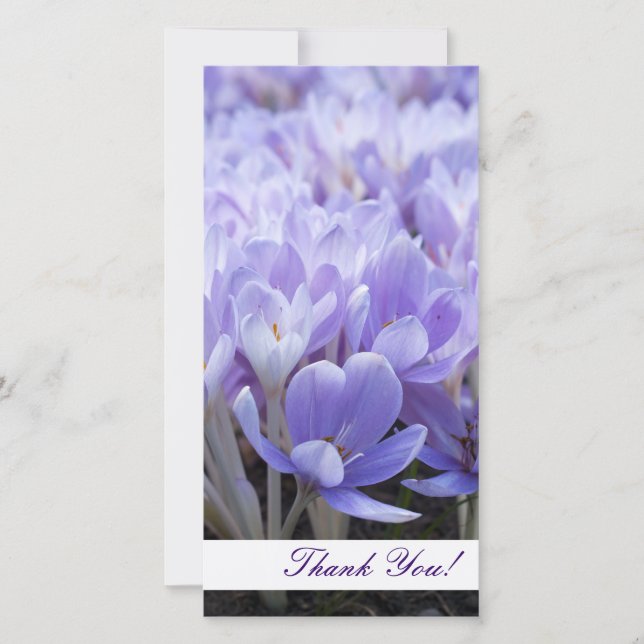 Tack-fotokort Tack Kort (Framsida)