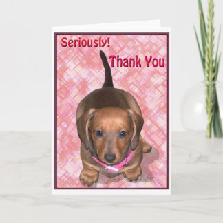 Tack från A Little Dachshund Puppy Kort