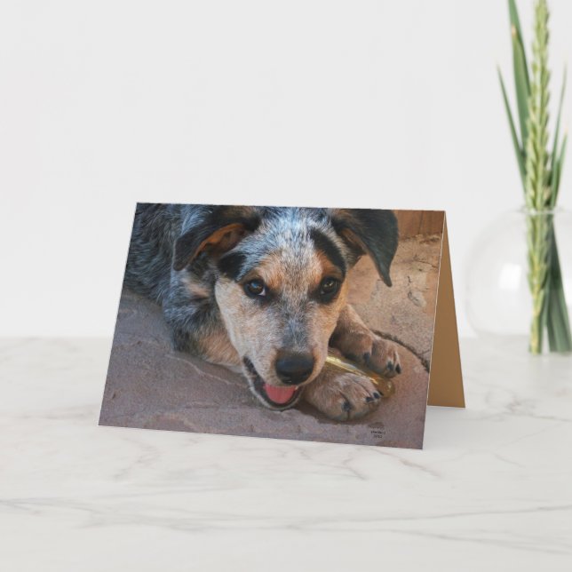 Tack från hjärtat - Hund älskare Kort (Framsida)