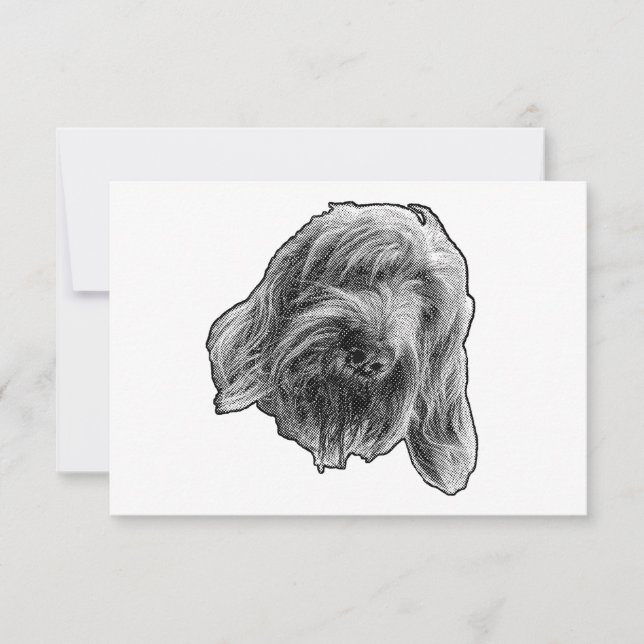 Tack från snäll Spinone Kort (Framsida)