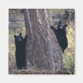 Tack Gift Magnet