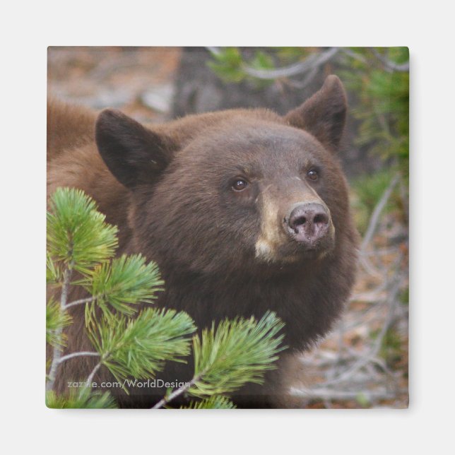 Tack Gift Magnet (Framsidan)
