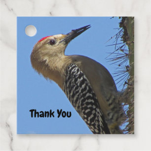 Tack Gila Woodpecker Photo Bird Apprecition Gåvor Etiketter