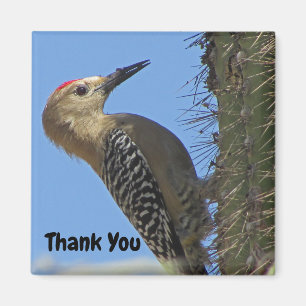 Tack Gila Woodpecker Photo Southwest Bird Magnet