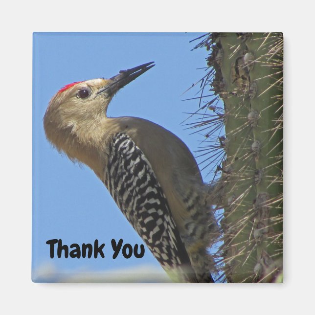 Tack Gila Woodpecker Photo Southwest Bird Magnet (Framsidan)