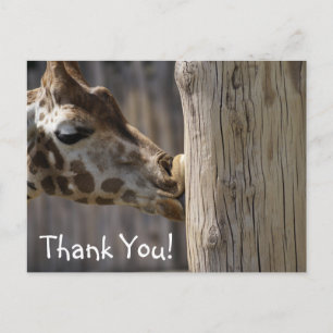 Tack Giraffe Kisses Vykort