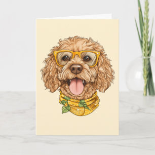Tack Goldendoodle Hund Solglasögon Apelsiner Kort