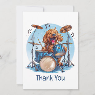 Tack Goldendoodle Hund Spelar Trummor Kort