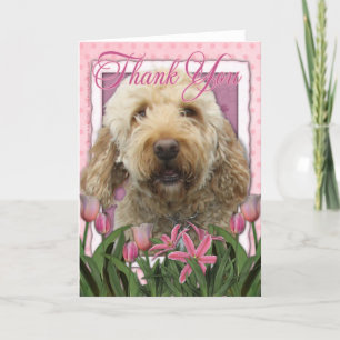Tack - Goldendoodle Kort