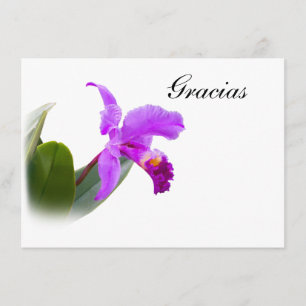 Tack Gracias, spanjor, Orchidkort Kort