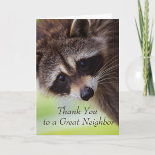 Tack granne Cute Raccoon Animal Roligt Kort