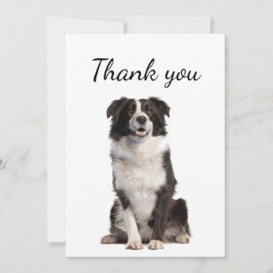 Tack Gräns Collie Hund Pet Animal Kort