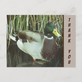 Tack Gräsand Foto Naturuppskattning Vykort
