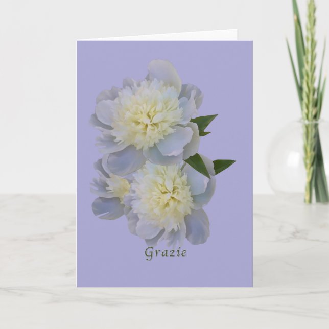 Tack Grazie, italienare, vitpionkort Kort (Framsida)