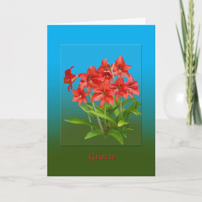 Tack, Grazie, italienska Tack Kort (Framsida)