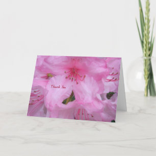 Tack Greeting Card Kort