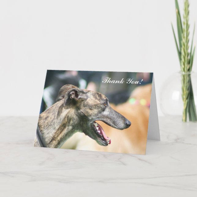 Tack Greyhound-hälsningskort (Framsida)