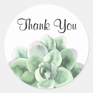 Tack grön Echeveria suckulent växt Runt Klistermärke