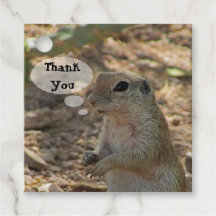 Tack Ground Squirrel Photo Desert Animal