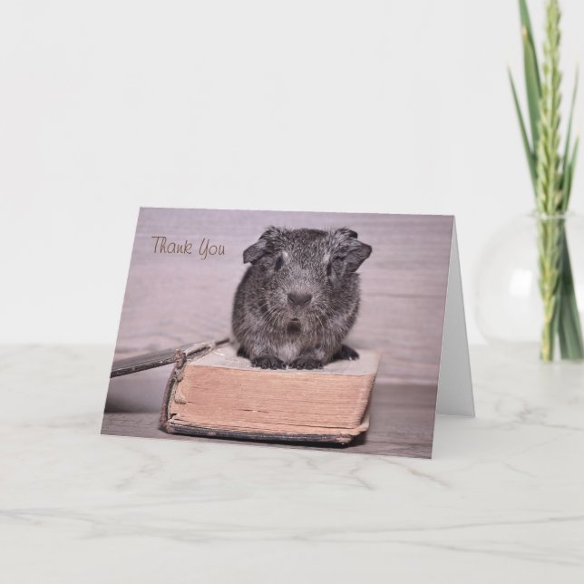 Tack Guinea Gris Sat vid Bok Kort (Framsida)