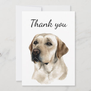 Tack Guld Labrador Hund Husdjur Djur Kort