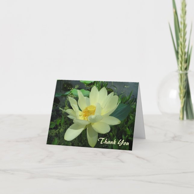 Tack gulnar näckrosblommakortet kort (Framsida)