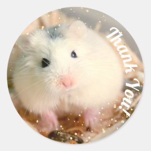 Tack - Hammyville White Hamster Runt Klistermärke