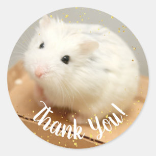 tack - Hammyville White Hamster Square Stick Runt Klistermärke