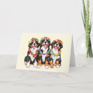Tack Hawaiian Bernese Mountain Hundar Kort
