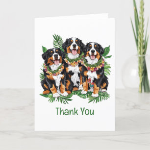 Tack Hawaiian Bernese Mountain Hundar Kort