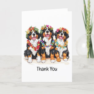 Tack Hawaiian Bernese Mountain Hundar Kort